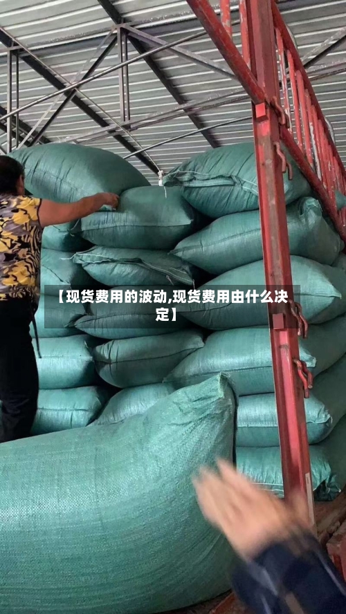 【现货费用的波动,现货费用由什么决定】