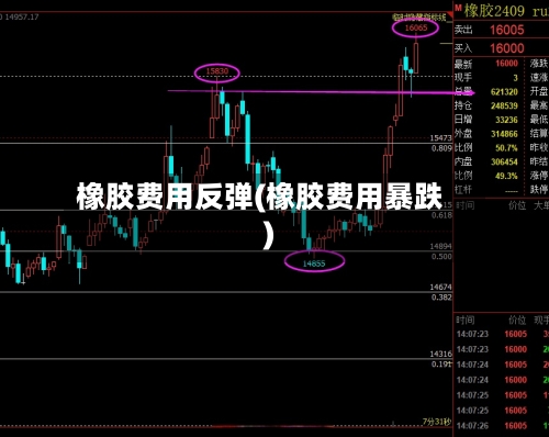 橡胶费用反弹(橡胶费用暴跌)-第2张图片