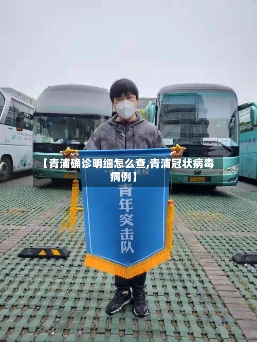 【青浦确诊明细怎么查,青浦冠状病毒病例】