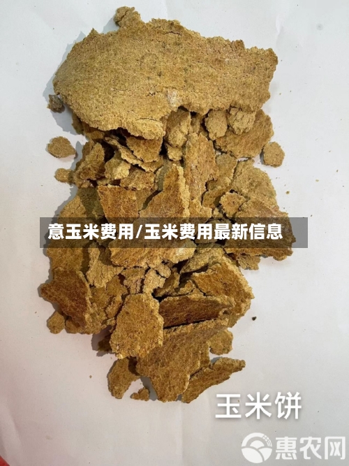 意玉米费用/玉米费用最新信息