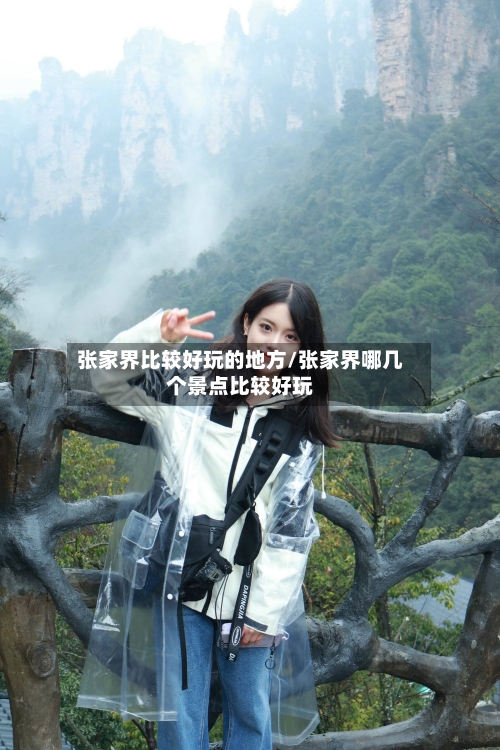 张家界比较好玩的地方/张家界哪几个景点比较好玩