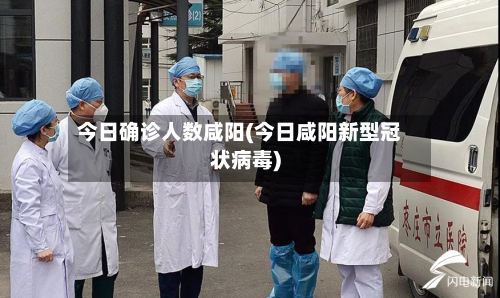 今日确诊人数咸阳(今日咸阳新型冠状病毒)-第3张图片