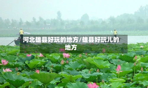河北雄县好玩的地方/雄县好玩儿的地方-第2张图片