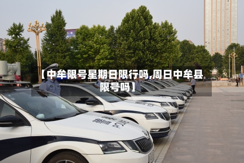 【中牟限号星期日限行吗,周日中牟县限号吗】-第2张图片