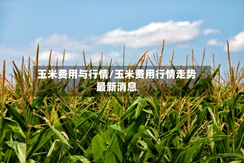 玉米费用与行情/玉米费用行情走势最新消息-第2张图片