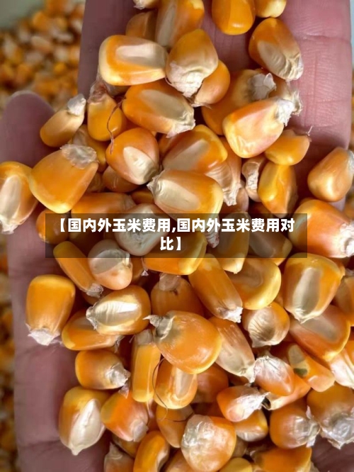 【国内外玉米费用,国内外玉米费用对比】
