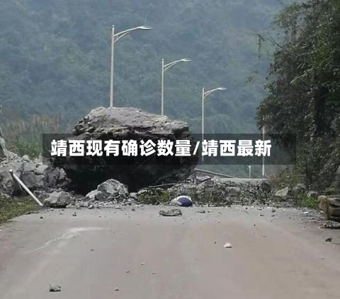 靖西现有确诊数量/靖西最新-第2张图片
