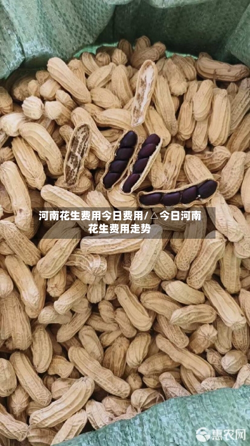 河南花生费用今日费用/△今日河南花生费用走势