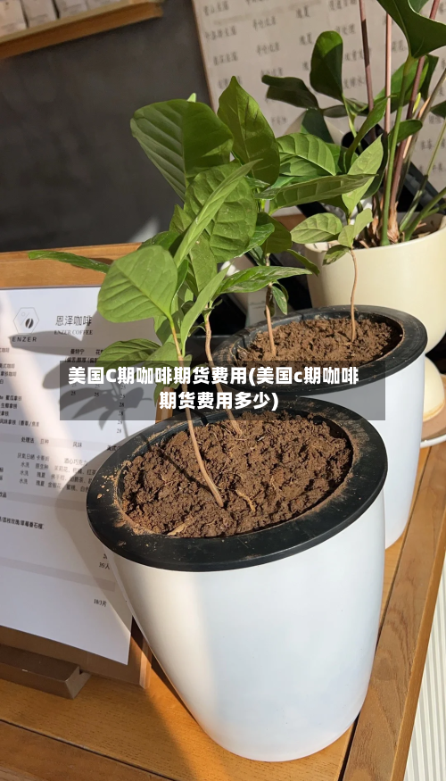 美国C期咖啡期货费用(美国c期咖啡期货费用多少)-第3张图片
