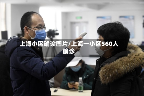 上海小区确诊图片/上海一小区560人确诊-第3张图片