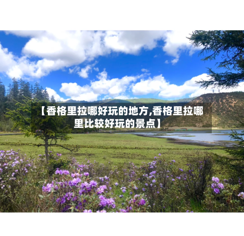 【香格里拉哪好玩的地方,香格里拉哪里比较好玩的景点】-第3张图片