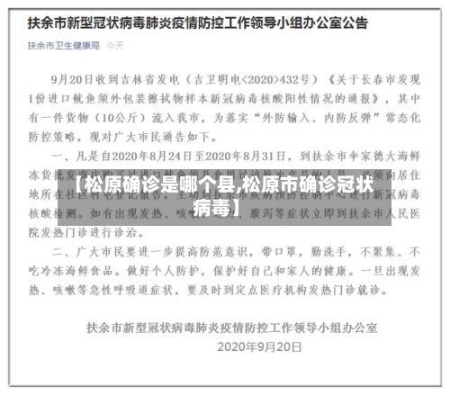 【松原确诊是哪个县,松原市确诊冠状病毒】-第3张图片