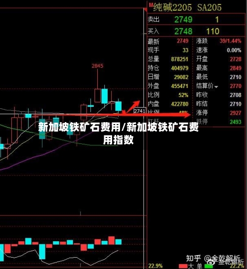 新加坡铁矿石费用/新加坡铁矿石费用指数