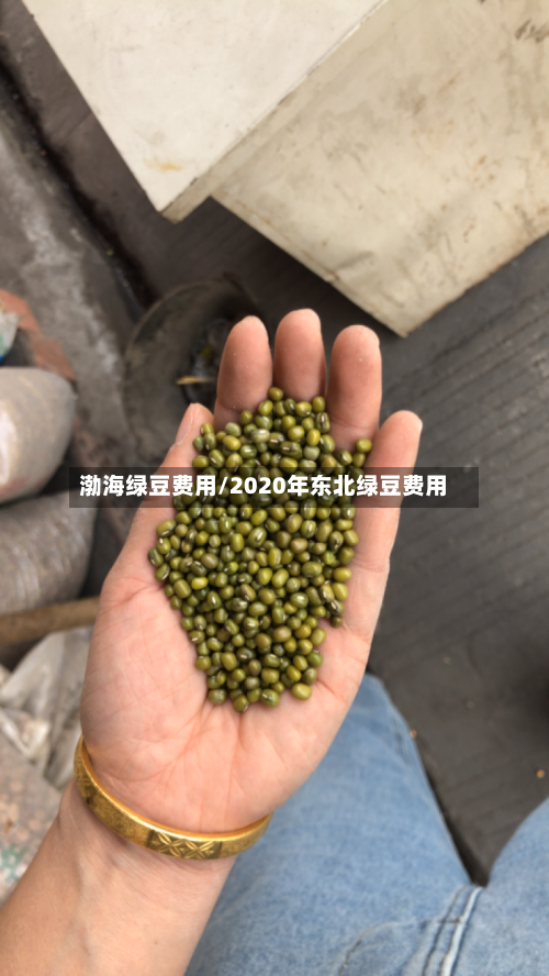 渤海绿豆费用/2020年东北绿豆费用-第3张图片