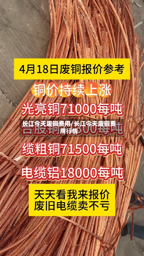 长江今天废铜费用/长江今天废铜费用行情-第2张图片