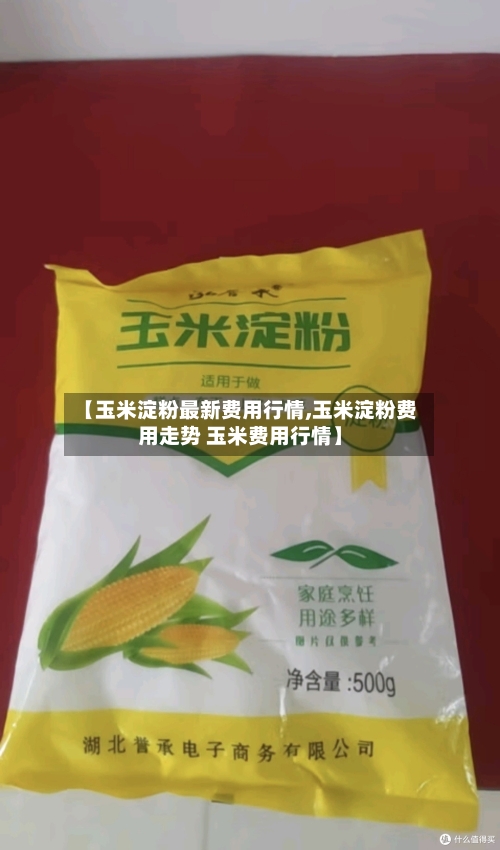 【玉米淀粉最新费用行情,玉米淀粉费用走势 玉米费用行情】-第3张图片