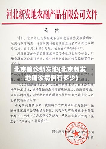 北京确诊新发地(北京新发地确诊病例有多少)