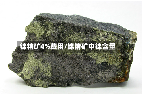 镍精矿4%费用/镍精矿中镍含量-第3张图片