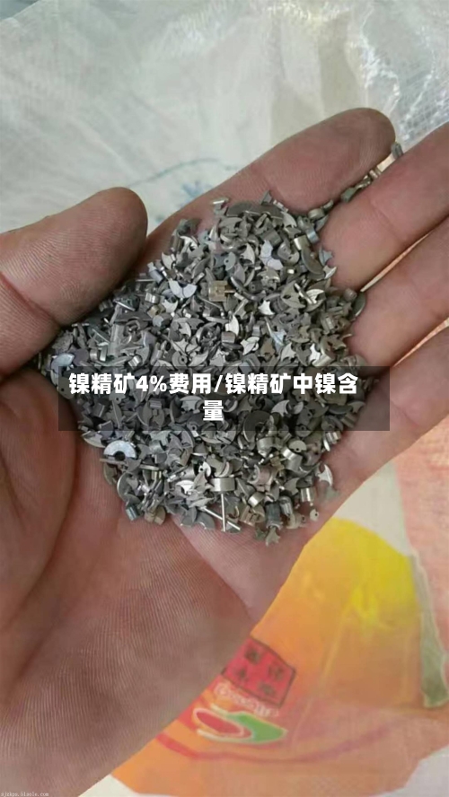 镍精矿4%费用/镍精矿中镍含量