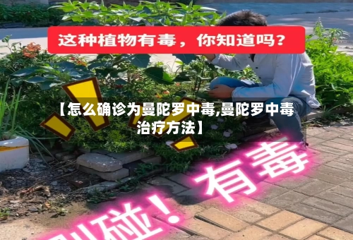 【怎么确诊为曼陀罗中毒,曼陀罗中毒治疗方法】-第3张图片