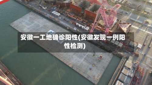 安徽一工地确诊阳性(安徽发现一例阳性检测)-第2张图片