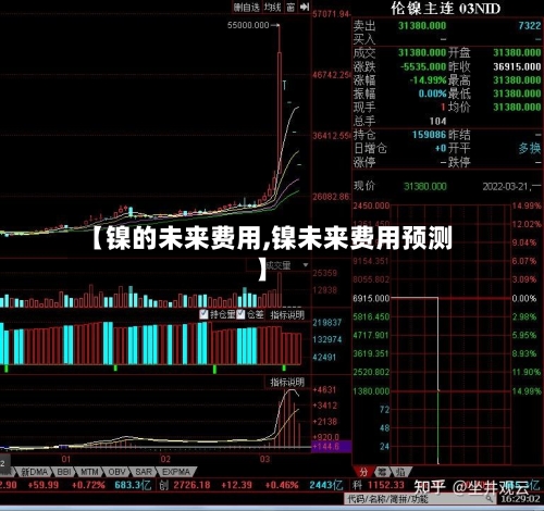 【镍的未来费用,镍未来费用预测】