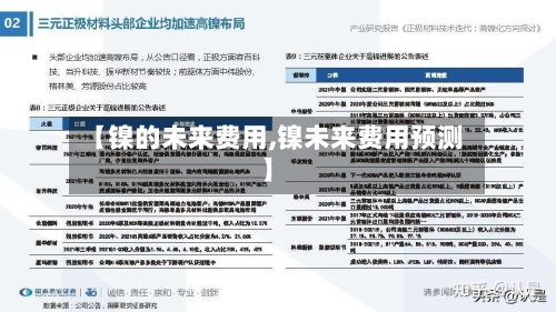 【镍的未来费用,镍未来费用预测】-第2张图片