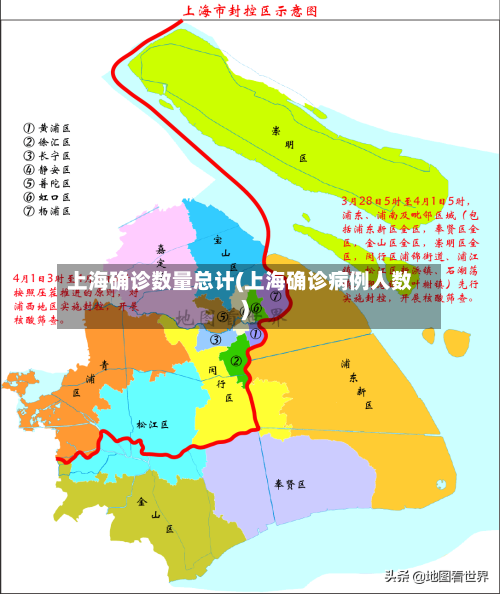 上海确诊数量总计(上海确诊病例人数)-第2张图片