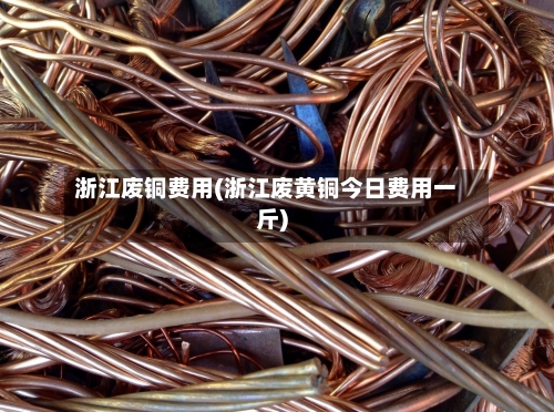 浙江废铜费用(浙江废黄铜今日费用一斤)
