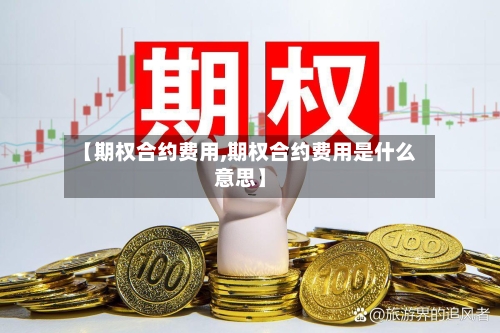 【期权合约费用,期权合约费用是什么意思】-第2张图片