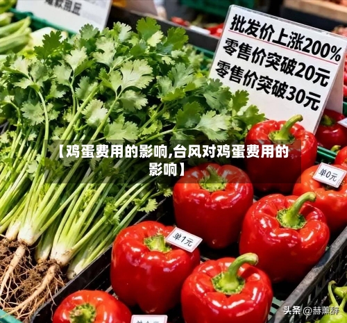 【鸡蛋费用的影响,台风对鸡蛋费用的影响】-第2张图片