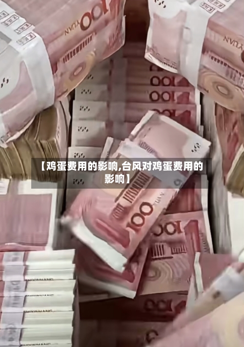 【鸡蛋费用的影响,台风对鸡蛋费用的影响】