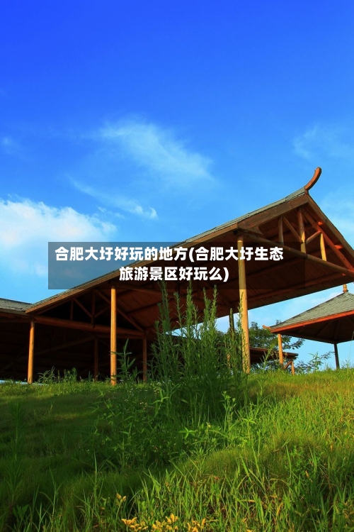 合肥大圩好玩的地方(合肥大圩生态旅游景区好玩么)
