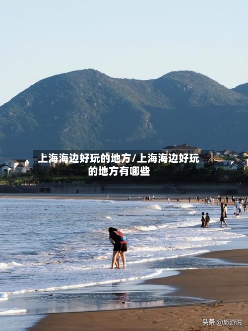 上海海边好玩的地方/上海海边好玩的地方有哪些