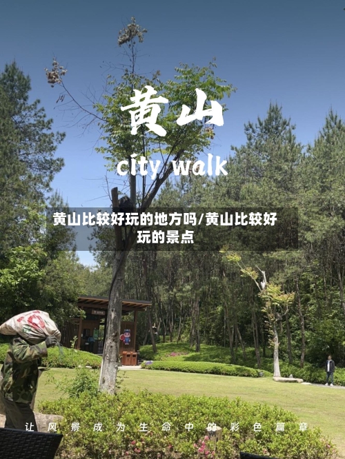 黄山比较好玩的地方吗/黄山比较好玩的景点-第2张图片