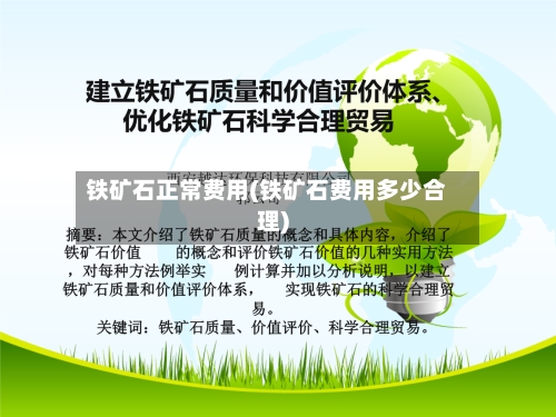 铁矿石正常费用(铁矿石费用多少合理)