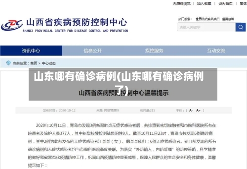 山东哪有确诊病例(山东哪有确诊病例了)-第2张图片
