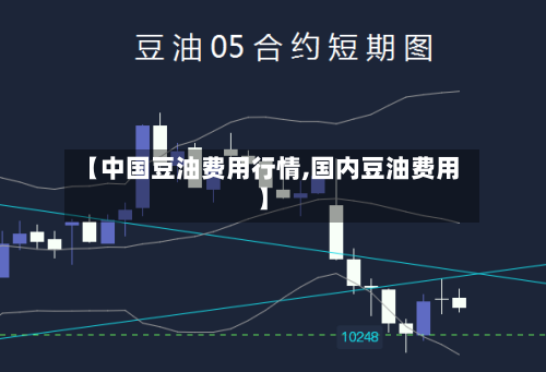 【中国豆油费用行情,国内豆油费用】