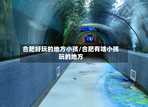 合肥好玩的地方小孩/合肥有啥小孩玩的地方-第2张图片