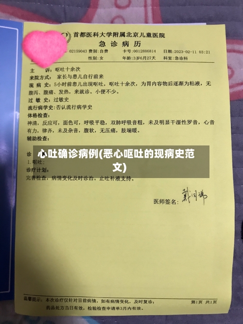 心吐确诊病例(恶心呕吐的现病史范文)-第3张图片
