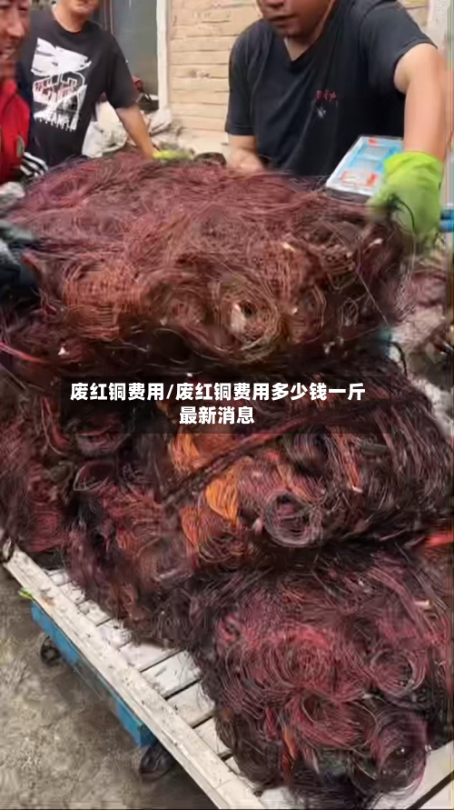 废红铜费用/废红铜费用多少钱一斤最新消息-第2张图片