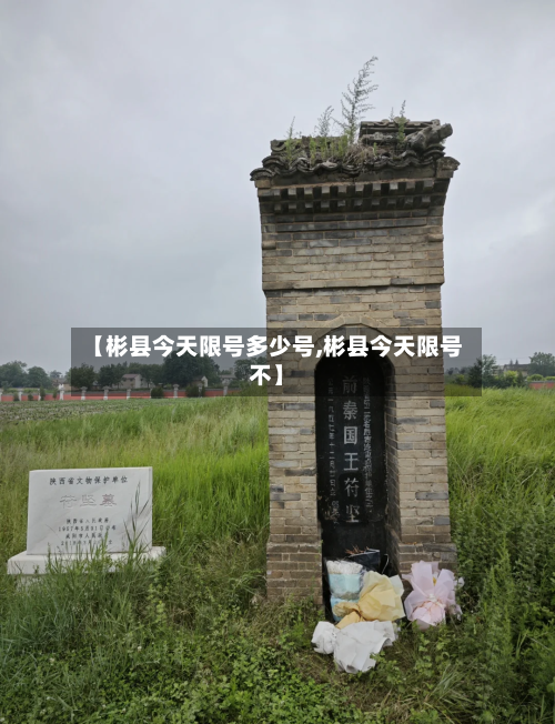 【彬县今天限号多少号,彬县今天限号不】-第3张图片