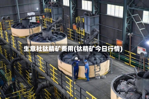 生意社钛精矿费用(钛精矿今日行情)-第2张图片
