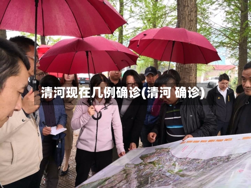 清河现在几例确诊(清河 确诊)-第2张图片