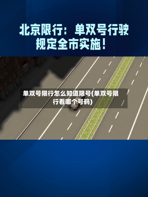单双号限行怎么知道限号(单双号限行看哪个号码)-第3张图片