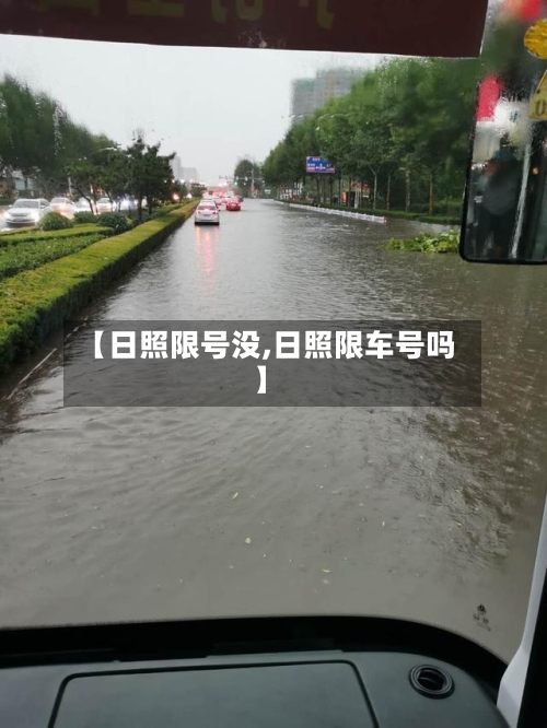 【日照限号没,日照限车号吗】-第2张图片