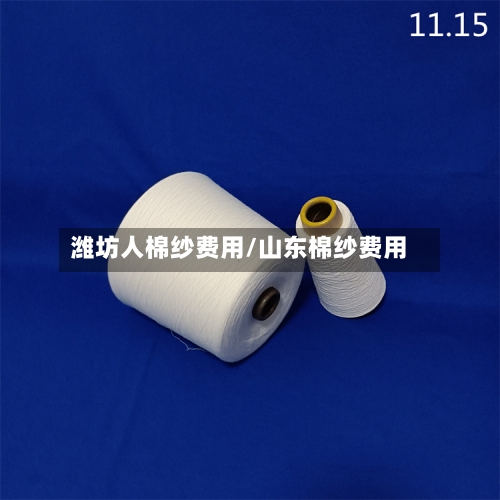 潍坊人棉纱费用/山东棉纱费用-第2张图片