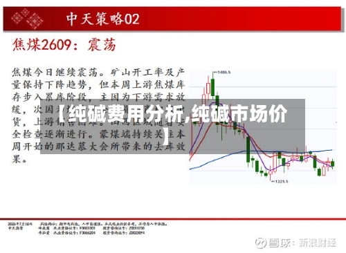 【纯碱费用分析,纯碱市场价】