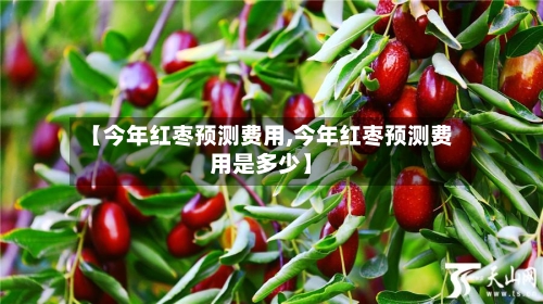 【今年红枣预测费用,今年红枣预测费用是多少】-第3张图片