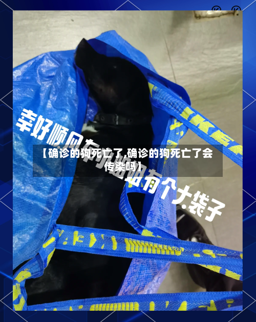【确诊的狗死亡了,确诊的狗死亡了会传染吗】-第2张图片